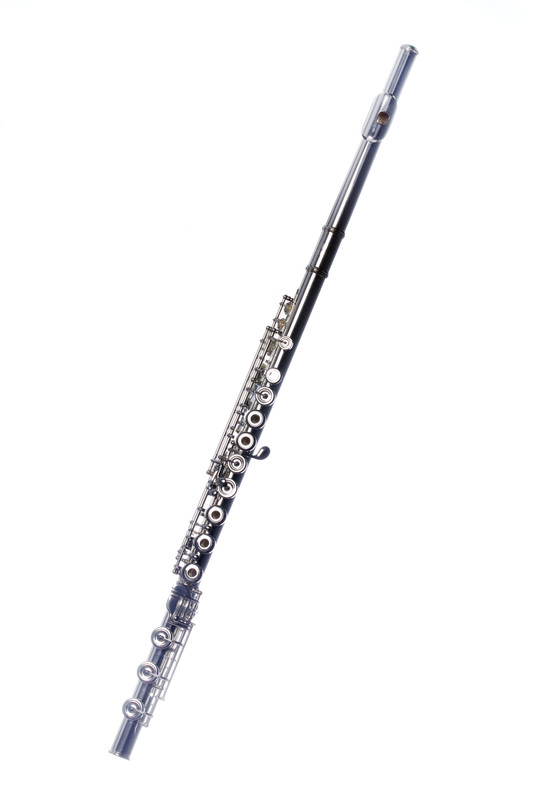 Flute with Popped Springs
