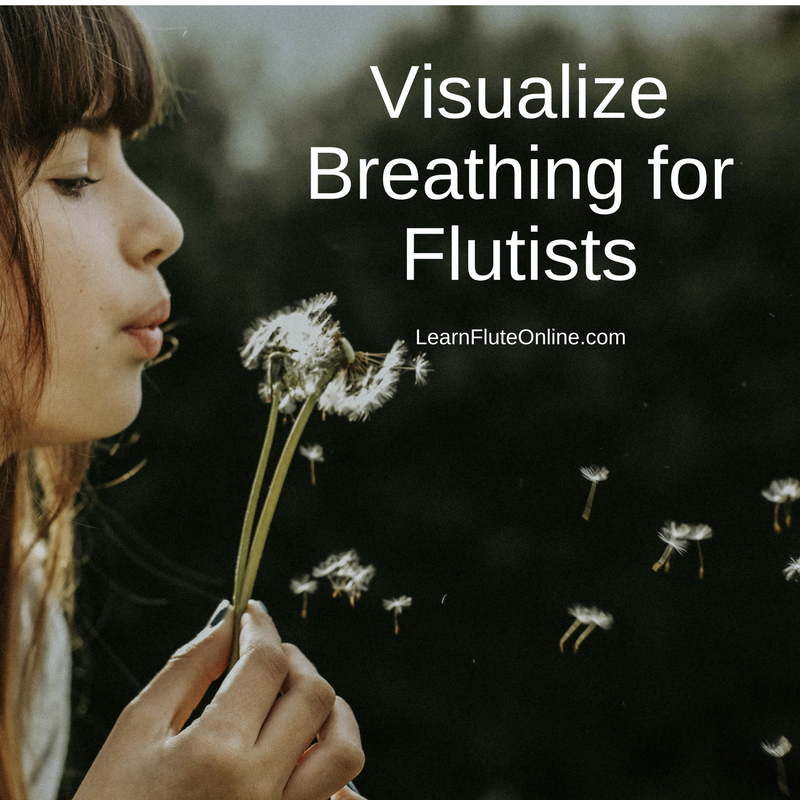 Visualize breathing for flutists