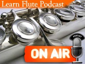 LFP 015 Where To Store Your Flute Cleaning Cloth