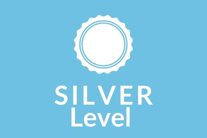 Silver Level beginner flute lessons